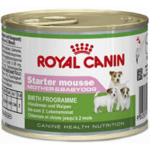 Royal Canin Starter Mousse 12 x 195 g