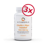 Pack of 3 Vita World Choline 450mg + Myo-Inositol 450mg 3 x 60 Capsules Vegan 