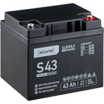 Supply S43 Batterie Décharge Lente 43Ah agm au Plomb - Accurat