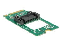 Delock Adapter M.2 Key B Male > Sata 7 Pin - Gränssnittsadapter - Sata 6Gb/S - M.2 Card