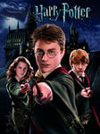 Harry Potter "Harry Ron Hermione" Canvas Print, 40 x 50 cm