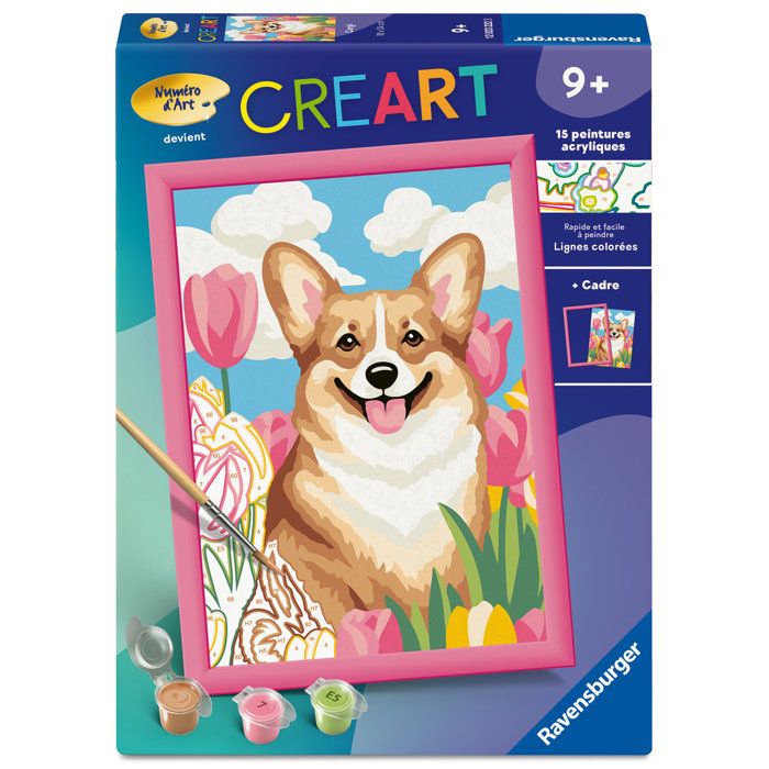 TISHIRON – Peinture Par Numéros Corgi Nuit étoilée, 40,6 X 50,8 Cm, Acrylique, Facile, Cadeau Détente