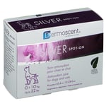 Dermoscent® Silver Spot On Chien/Chat 4x0,6 ml pipette(s) unidose(s)