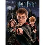 Harry Potter Canvas Print - Harry Ron Hermione - Official 60 x 80 x 4cm Wall Art