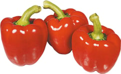 Frukt & Grönsaker Paprika röd