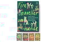 Presentförpackning Med Fyra Noveller Om Hundar | Christina Hesselholdt, Virginia Woolf, Anton Tjechov, Rudyard Kipling | Språk: Danska