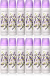 Yardley English Lavender Body Fragrance Spray 75ml  X 12