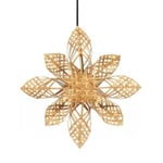 PR Home Anna Adventsstjärna 68 cm, Natur