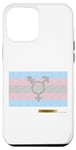 iPhone 12 Pro Max Trans Pride - Pointillism Case