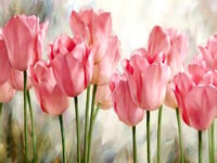 Gofission Paint by Numbers Pink Flowers Tulip, 16x20 inch Canvas DIY Number Painting Kits (Tulip, with Frame)