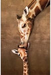PUZZLEYM Wooden Jigsaw Puzzles for Adults Kids,Giraffe's First Kiss, 500/1000/1500 Piece,Jigsaw Puzzle Game Educational Toys,Parent-child Interactive Games Impossible Puzzle-Marvel