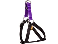 Dingo Fred Energy Storlek 50 Bredd 1,6 Cm Lila (94632)