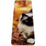 Yoga Mat - Fall animal cat - Extra Thick Non Slip Exercise & Fitness Mat for All Types of Yoga,Pilates & Floor Workouts