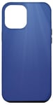 Coque pour iPhone 13 Pro Max Couleur centrale bleue avec fond artistique