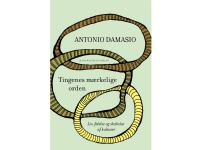 Den märkliga ordningen av saker och ting | Antonio Damasio | Språk: Danska