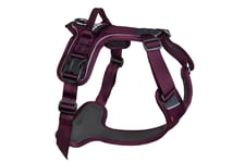 Non-Stop Dogwear Ramble Harness Purple L