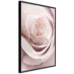 Plakat - Porcelain Rose - 40 x 60 cm - Sort ramme