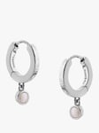 Tutti & Co Chosen Freshwater Pearl Huggie Hoop Earrings
