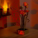 Blomsterfakir, 3,4 cm