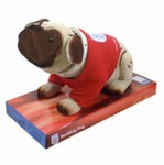 England Nodding Dog (Red Shirt) by England Football Gifts