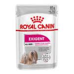 Royal Canin Exigent mousse - 48 x 85 g