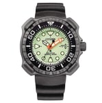Citizen Watch Whale Shark Diver Promaster Eco-Drive Full Lume BN0227-17X
