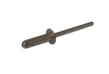 Popnit 4.8x10.0 mm ProMeister