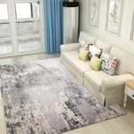 DJHWWD Soft Rug Carpet gray blur old pattern crystal velvet rug anti-slip Living Room Rugs Extra Large Rug Large grey 180X260CM