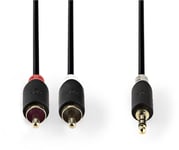 Nedis Aux Audio Cable 3.5 Mm -> 2X Rca 3M Black