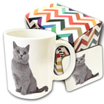 British Shorthair Cat Mug & Coaster Set - Many Cat Breeds Available 11oz Ceramic Coffee/Tea Cup for Christmas, Birthday, Secret Santa, Mother’S Day Or Father’S Day Gift