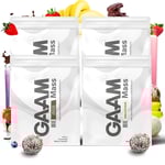 4 X Gaam 100% Mass Premium 1 Kg