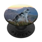 Husky Pop mount Socket Cool Alaskan Dog on the wild nature PopSockets Swappable PopGrip