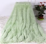 LRuilo Faux Fur Reversible Warm Throw Blanket, Ultra Soft Large Wrinkle Resistant Blankets, Hypoallergenic Washable Couch Bed Fluffy Furry Throws Photo Props (80x120cm,Green)