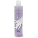 Primal Elements Coconut Water Body Wash French Lilac 300ml Transparent