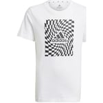 adidas Lyhythihainen t-paita Graphic Tshirt 1 Valkoinen