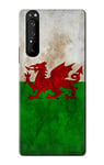 Wales Football Soccer Red Dragon Flag Case Cover For Sony Xperia 1 III