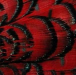 Amherst head Pheasant komplett Huvud - Red