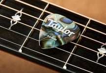 Taylorware Taylor Celluloid 351 Picks, Abalone, 1.21mm, 12-Pack