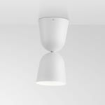 Convex Taklampa - Spotlight (54°) Alt: Olivgrön | Svart | Ljusgrå | Vit | Färg: Vit RAL - 9016