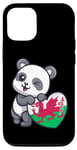 iPhone 14 Pro Wales UK Flag Heart with Panda Wales UK Gifts Love Wales UK Case