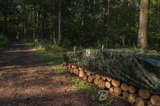 Bradas Camouflage Moro Presenning Camoforest 4 X 6M 90 G.