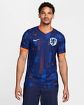 Netherlands (Men's Team) 2024/25 Match Away Men's Nike Dri-FIT ADV Football Authentic Shirt