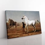 Jacques Laurent Agasse The Wellesley Grey Arabian Classic Painting Canvas Wall Art Print Ready to Hang, Framed Picture for Living Room Bedroom Home Office Décor, 60x40 cm (24x16 Inch)