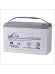 Celltech Lead acid battery 12v-100 ah size l330xw173xh212/220 t6/t11 terminals