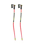 Leki WC Racing Lite GS 3D