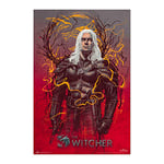 Grupo Erik The Witcher 2 Gerald De Rivia Poster - 35.8 x 24.2 inches / 91 x 61.5 cm - The Witcher Poster - Shipped Rolled Up - Cool Posters - Art Poster - Posters & Prints - Wall Posters