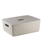 IDEA HOME Plastic Storage Box with Lid - Storage Boxes - Storage Organiser - Really Useful Boxes for Storing Various Items in the Living Room, Bedroom or Bathroom, 19L
