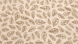 Robens - Fleece Carpet Klondike tältmatta - Sand & Green - OneSize
