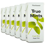 True Mints Pastiller, 6-pack, Fresh Mints