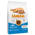 Ekonomipack: IAMS torrfoder för katter 2 x 10 kg - Advanced Nutrition Kitten med havsfisk (2 x 10 kg)